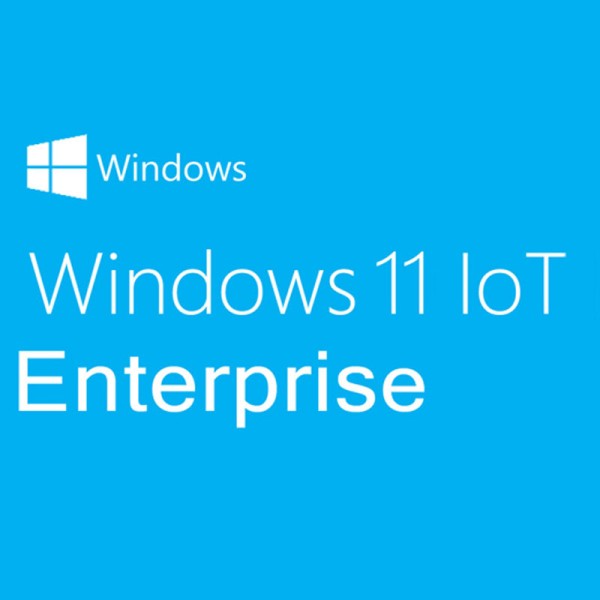 Windows 11 IoT Enterprise 2024 LTSC ePKEA High End